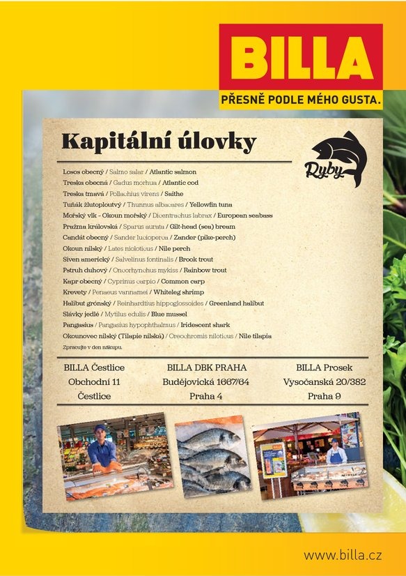 leták Billa Čerstvé ryby od 17. 6. 2015 strana 1 leták Billa Čerstvé ryby od 17. 6. 2015 strana 1